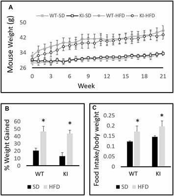 Brain 5-HT Deficiency Prevents Antidepressant-Like Effects of High-Fat-Diet and Blocks High-Fat-Diet-Induced GSK3β Phosphorylation in the Hippocampus